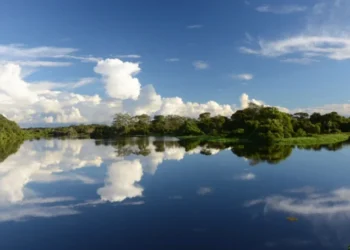 Naturatins realiza reunião extraordinária do Conselho da APA Ilha do Bananal/Cantão para tratar da revisão do Plano de Manejo