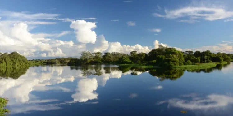 Naturatins realiza reunião extraordinária do Conselho da APA Ilha do Bananal/Cantão para tratar da revisão do Plano de Manejo