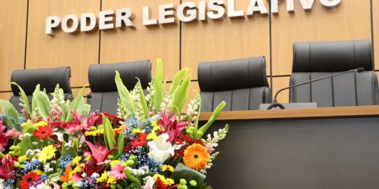 Câmara de Palmas retoma atividades na terça-feira, 5 de agosto