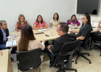 Governo do Tocantins e Energisa discutem parceria estratégica para impulsionar o aumento de carga de energia no estado