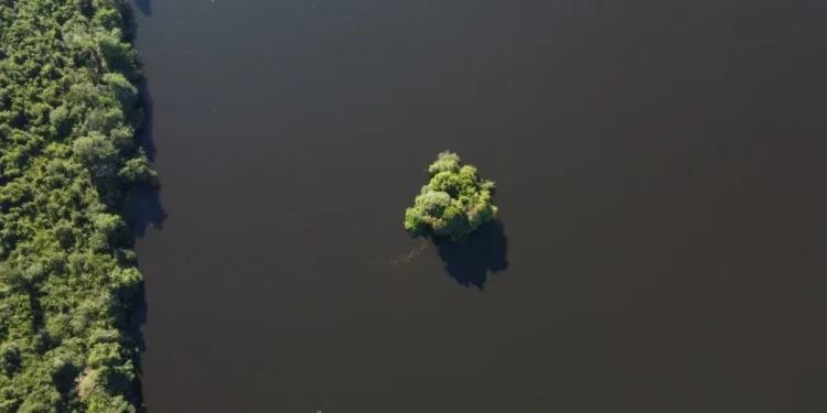 Unidades de Conservação sob gestão do Instituto tem novo fluxo de licenciamento ambiental - Foto: Naturatins/Governo do Tocantins