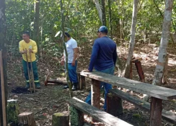Equipes realizam a construção de praças de descanso ao longo das trilhas - Foto: Naturatins/Governo do Tocantins