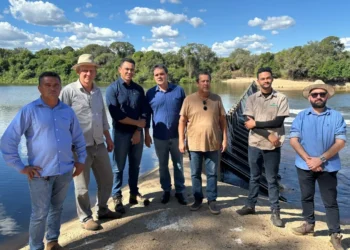 Naturatins realiza visita técnica a barragens elevatórias em Lagoa da Confusão para monitorar uso da água na Bacia do Rio Formoso