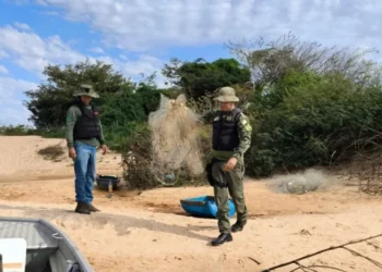 Naturatins recolhe 40 quilos de pescados durante operação de fiscalização ambiental