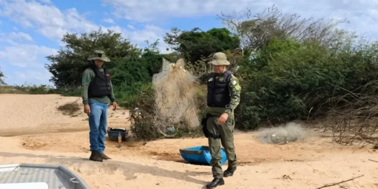 Naturatins recolhe 40 quilos de pescados durante operação de fiscalização ambiental