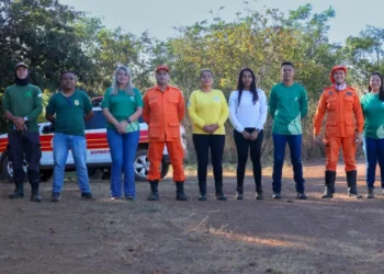 Servidores do Naturatins recebem treinamento para uso de drones em ações de mapeamento das comunidades Torrãozeiras do Cantão
