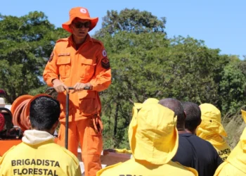 O secretário ressaltou ainda que a primeira fase de prevenção foi cumprida pelas equipes do Foco no Fogo e do Comitê do Fogo percorrendo o Estado e agora se inicia a fase de resposta, de combate efetivo ao fogo - Foto: Soldado Thiago Baltazar dos Santos/Governo do Tocantins