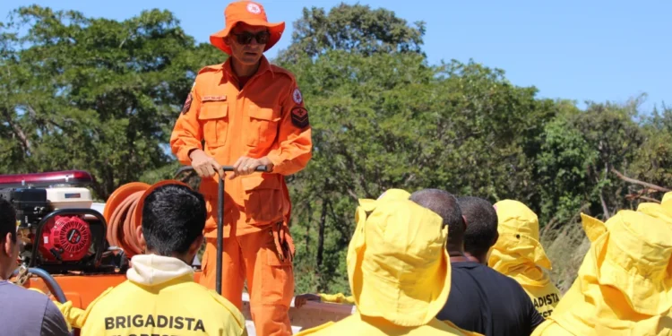 Governo do Tocantins registra redução de 24,9% dos focos e 14,8% de áreas queimadas nos primeiros cinco meses de 2025