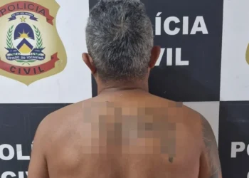 Polícia Civil do Tocantins prende homem em flagrante por tráfico de drogas em Formoso do Araguaia - Divulgação PC/TO
