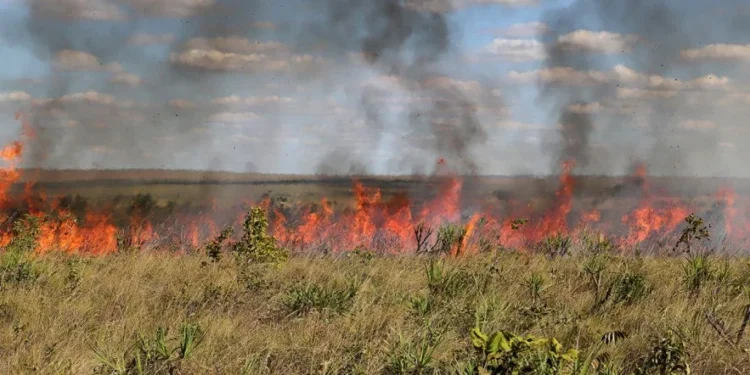 Naturatins informa sobre período de suspensão das autorizações de queima controlada no Tocantins