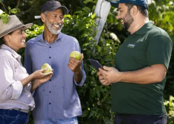 Sebrae fortalece empreendedores durante a ExpoAlmas no Sudeste do Tocantins