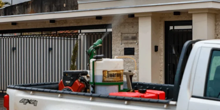 Palmas registra redução de 80% nos casos confirmados de dengue