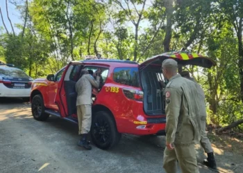 Operação da Polícia Civil, com apoio do Corpo de Bombeiros, localiza cemitério clandestino do Comando Vermelho na zona oeste do Rio • Divulgação PCERJ