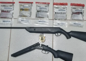 Objetivo foi cumprir um mandado de busca e apreensão, voltado ao combate à grilagem de terras na região - Foto: Divulgação PCTO