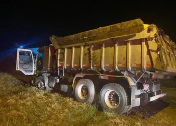 Caminhão carregado de camarão é apreendido em SC  • Reprodução/PF