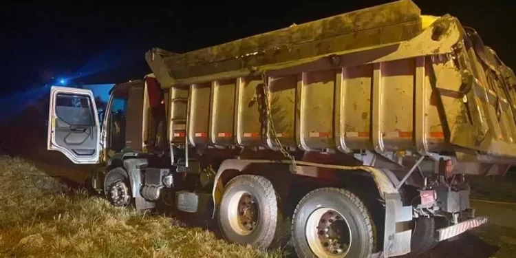 PF apreende caminhão com 7 toneladas de camarão e prende motorista em SC