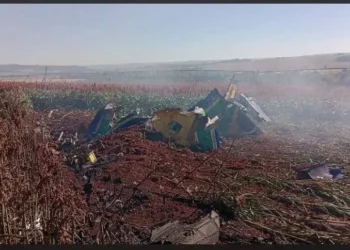 O piloto do avião conseguiu se ejetar antes do impacto e passa bem.  • Reprodução