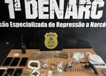 Foto -Polícia Civil do Tocantins