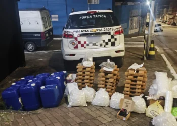 Polícia Militar de São Paulo apreende entorpecentes • Divulgação/Polícia Militar