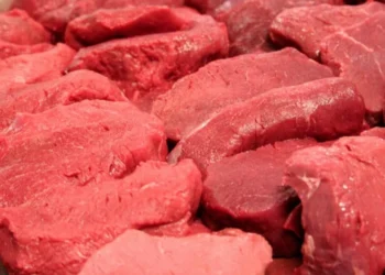 O governo brasileiro rebate a afirmação dos pecuaristas americanos • Cidasc-SC