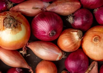 Quercetina está presente na cebola, pimentão, aspargo, brócolis e frutas como maça, uva e manga • Freepik