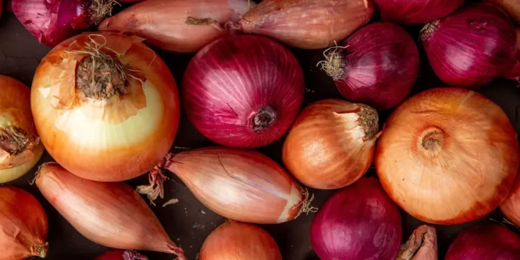 Saiba qual substância presente na cebola pode ajudar na saúde do coração