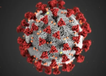 Em dezembro de 2019, o coronavírus SARS-CoV-2 surgiu e paralisou mundo. • Pexels