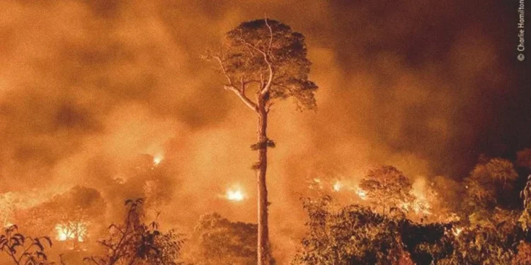 Deputados do Tocantins votam a favor do PL da Devastação durante a madrugada