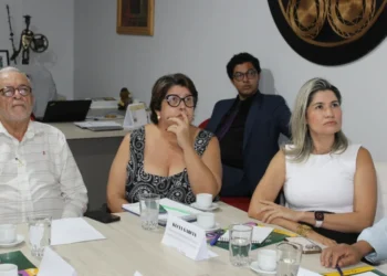Secult promove reunião com representantes do setor audiovisual para contribuir com a elaboração do plano dos Arranjos Regionais FSA 2025