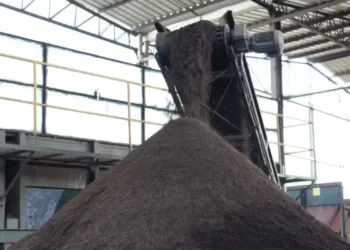 "Vivia cansada e não dava conta de nada". Fernanda Keulla descobre doença rara que explica fadiga extrema
© Reprodução: Instagram