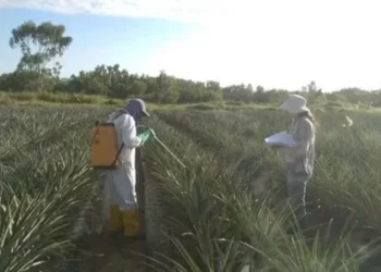 Jogadores do Palmeiras lamentam o segundo gol do Chelsea após falha de Weverton • Luke Hales/Getty Images