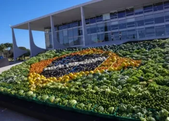 Plano Safra 25/26: veja o que dizem representantes do setor — Foto: Agência Brasil