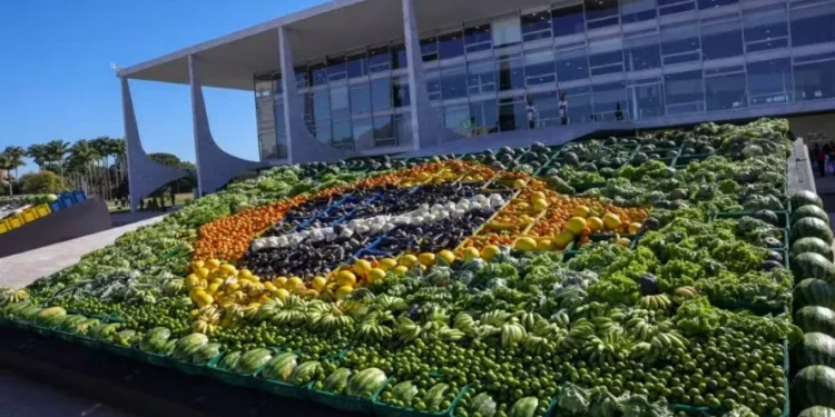 Plano Safra 25/26: veja o que dizem representantes do setor