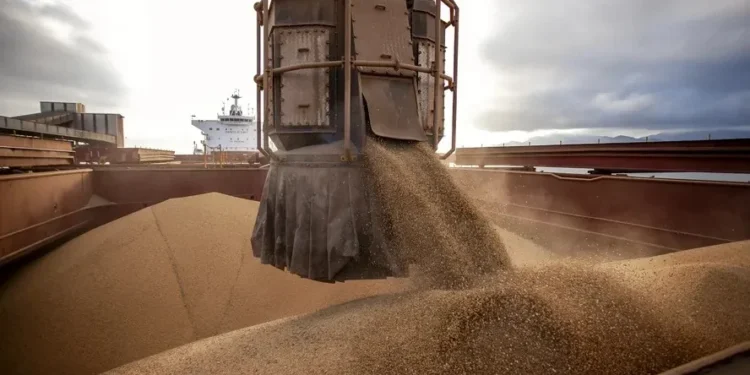 Prêmios de exportação da soja nos portos brasileiros estão impulsionados — Foto: Claudio Neves/Portos do Paraná