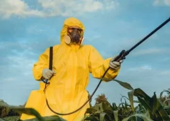 CropLife reforçou que o Brasil possui uma das legislações mais rigorosas do mundo para defensivos agrícolas — Foto: Getty Images