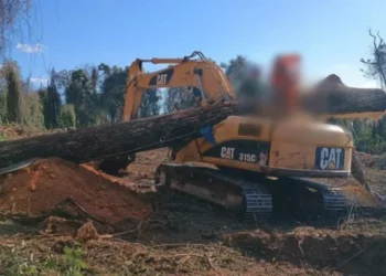 Vítima foi atingida pela árvore de grande porte enquanto operava trator em zona rural de Minas Gerais • Bombeiros de Minas Gerais