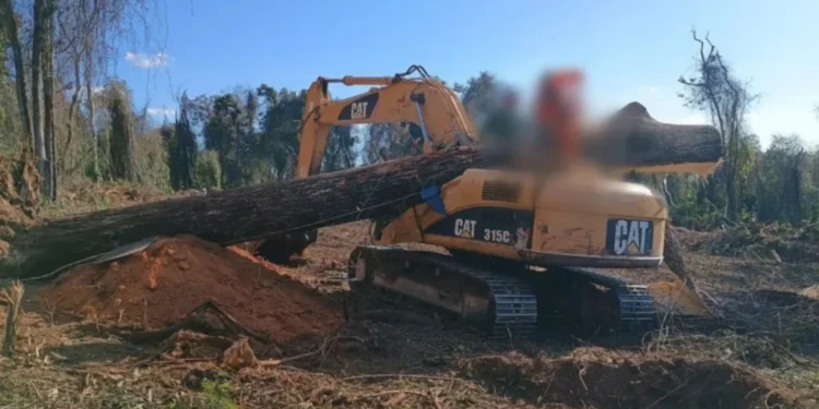 Vítima foi atingida pela árvore de grande porte enquanto operava trator em zona rural de Minas Gerais • Bombeiros de Minas Gerais