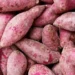 Batata-doce pode ser plantada na terra e na água. Aprenda como