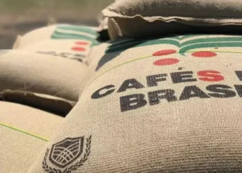 Há espaço para o Brasil se posicionar estrategicamente nessas nos países asiáticos e no Oriente Médio — Foto: Gustavo Facanalli/Embrapa