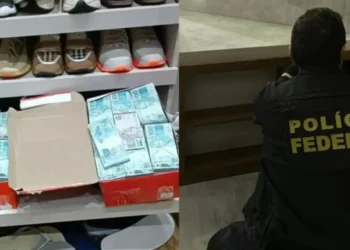Operação contra tráfico localiza dinheiro em espécie em caixas de sapato • Divulgação/Polícia Federal