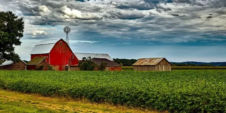 Mercado de soja olha produtividade nos EUA para definir tendência de preços