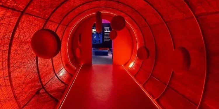 Museu Catavento recebe exposição sobre o interior do corpo humano • Divulgação/Museu Catavento