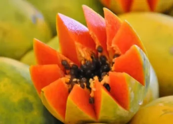 Use as sementes da fruta para iniciar o cultivo — Foto: Canva/ Creative Commoms