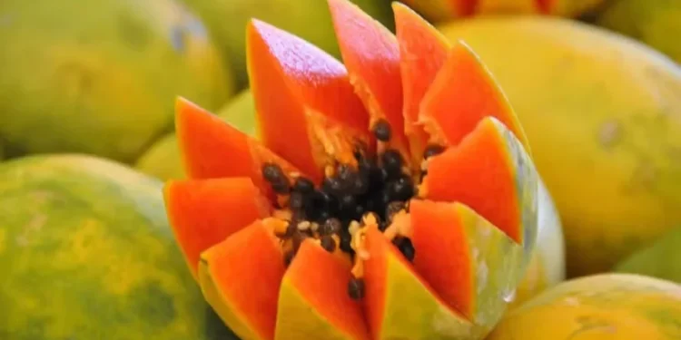 Use as sementes da fruta para iniciar o cultivo — Foto: Canva/ Creative Commoms