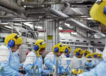 Setor de frigoríficos sobe na bolsa — Foto: BRF/Divulgação