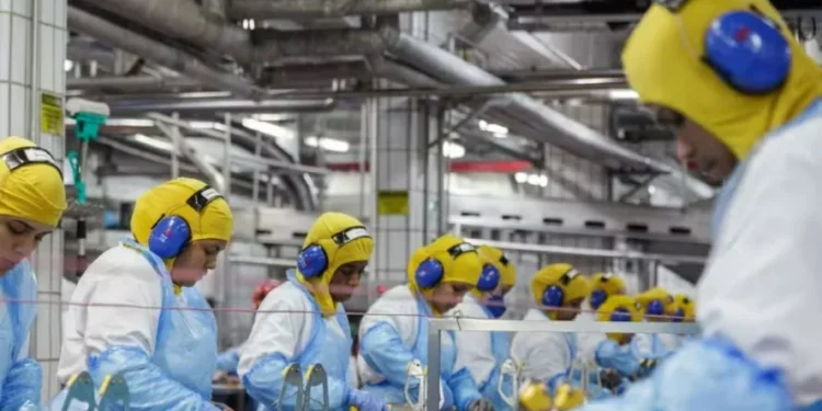 Ações de frigoríficos contrariam dia negativo na bolsa e sobem com expectativa de margens melhores