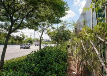 Espaço terá corredor verde multifuncional • Marcos Santos/USP Imagens