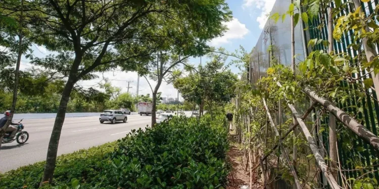 Espaço terá corredor verde multifuncional • Marcos Santos/USP Imagens