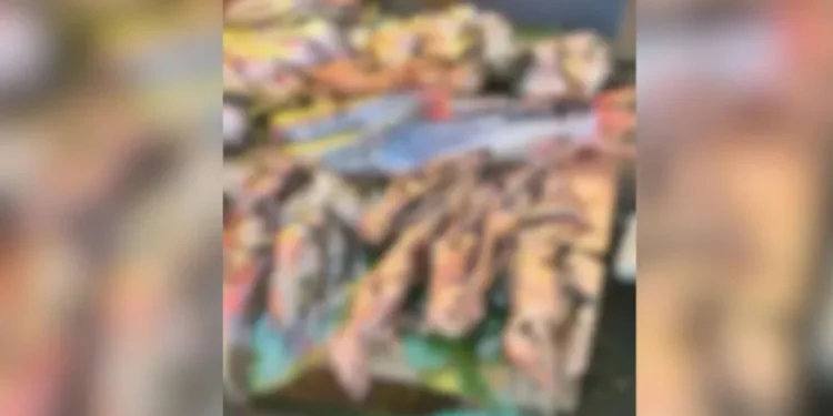 Diversos exemplares de mucura, conhecida popularmente como gambá, foram colocados à venda por cerca de R$ 30 cada • Reprodução/Redes Sociais