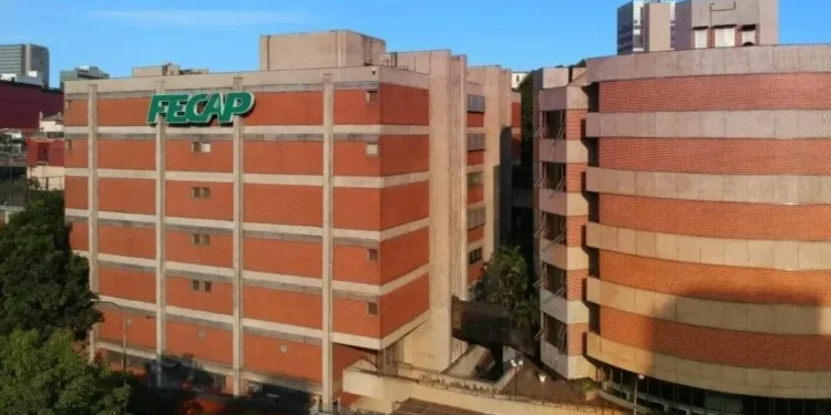 Cursos da Fecap são voltados para as áreas de Contabilidade, Economia, Gestão Estratégica, Gestão Pública e Negócios • Divulgação